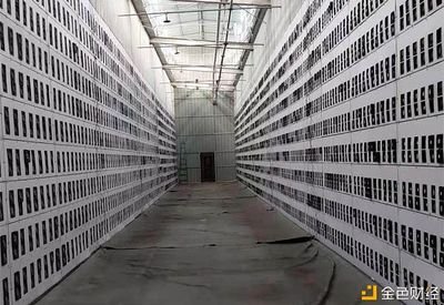 A vibrant mining farm showcasing numerous mining rigs in operation