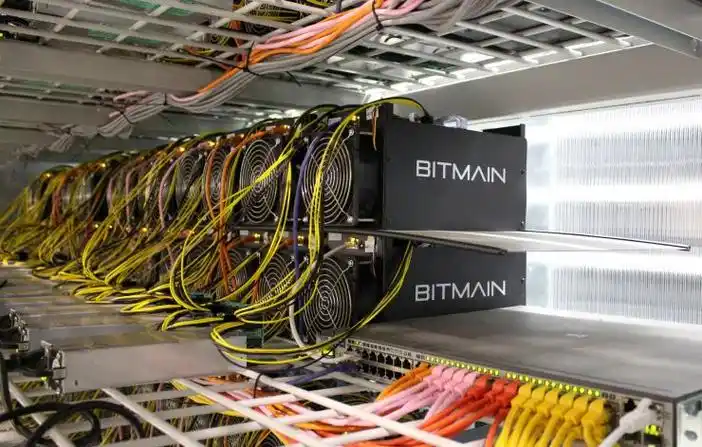 A large-scale mining farm illuminated with rows of high-powered miners