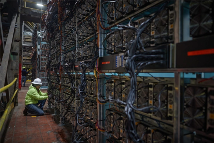 A modern Tier 4 mining farm with rows of mining rigs operating