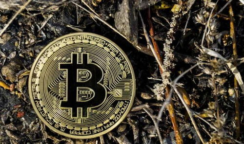 Bitcoin mining facility showcasing rows of ASIC miners at peak operation